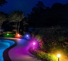 Load image into Gallery viewer, Ultra Luma Lights Solar 8 Colors Outdoor Solar Pathway Lights- LED Colorful Decorative Waterproof -4 Pack