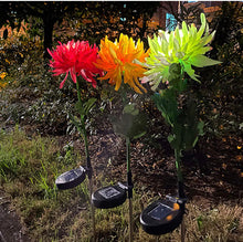 Load image into Gallery viewer, Solar LED Light Artificial Chrysanthemum Flower (3 Pack)