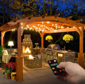 Dimmer with Remote for Our Ambience Pro LED String Lights - Commercial Grade Dimmer Rated at 150 Watts