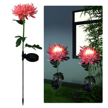 Load image into Gallery viewer, Solar LED Light Artificial Chrysanthemum Flower (3 Pack)