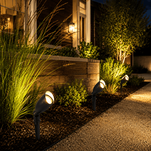 Solar Spotlights