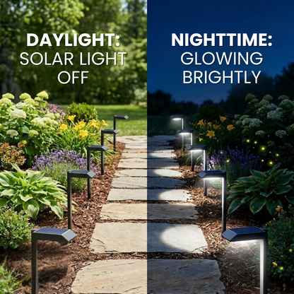SmartYard Solar LED Pathway Lights 30 Lumen Modern Down Light , 6-Pack