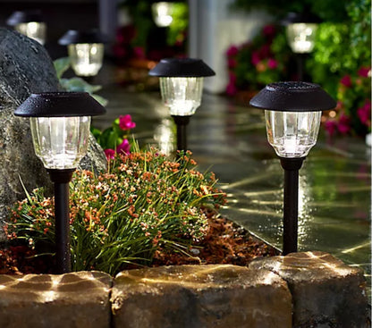 Energizer 12 Pack Solar Pathway Light Set 15-Lumen