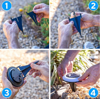 Colorize Solar Lights Color Change Ring Lights In-Ground 6 Pack - Outdoor Solar Outlet