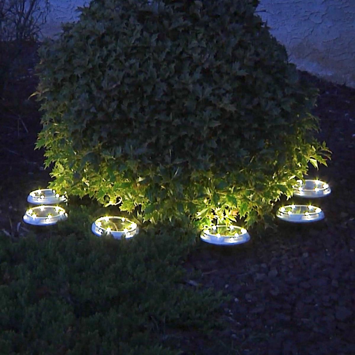Energizer 10-pc Solar Disc Lights Multi-Direction 20 Lumen - Outdoor Solar Outlet