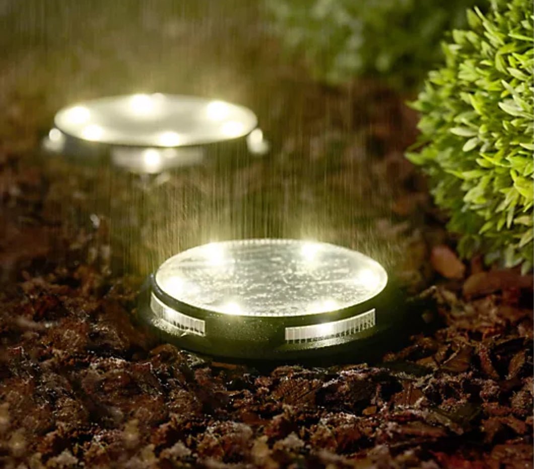 Energizer 10-pc Solar Disc Lights Multi-Direction 20 Lumen - Outdoor Solar Outlet