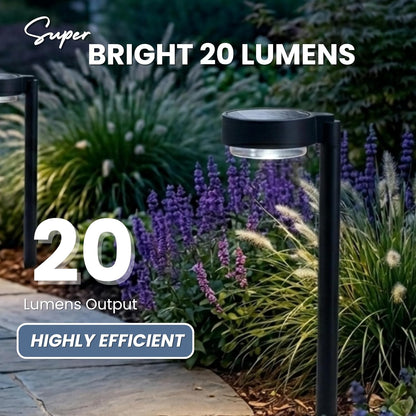 Energizer 20 Lumen Set of 4 Down light Aluminum Solar Pathway Lights - Outdoor Solar Outlet