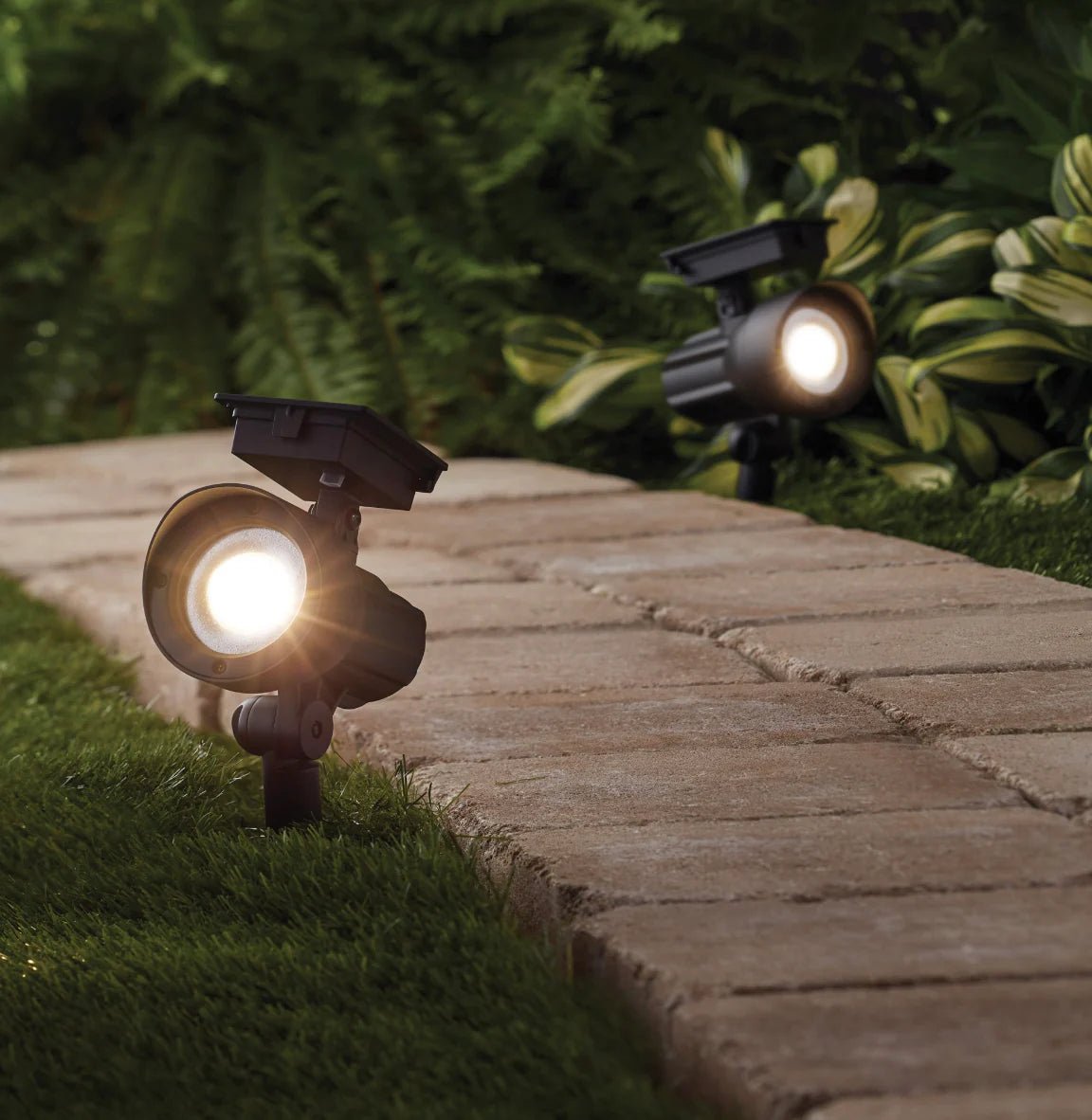 Energizer 50 Lumen Solar Outdoor Landscape Spot Light, Black (3-Pack) - Outdoor Solar Outlet