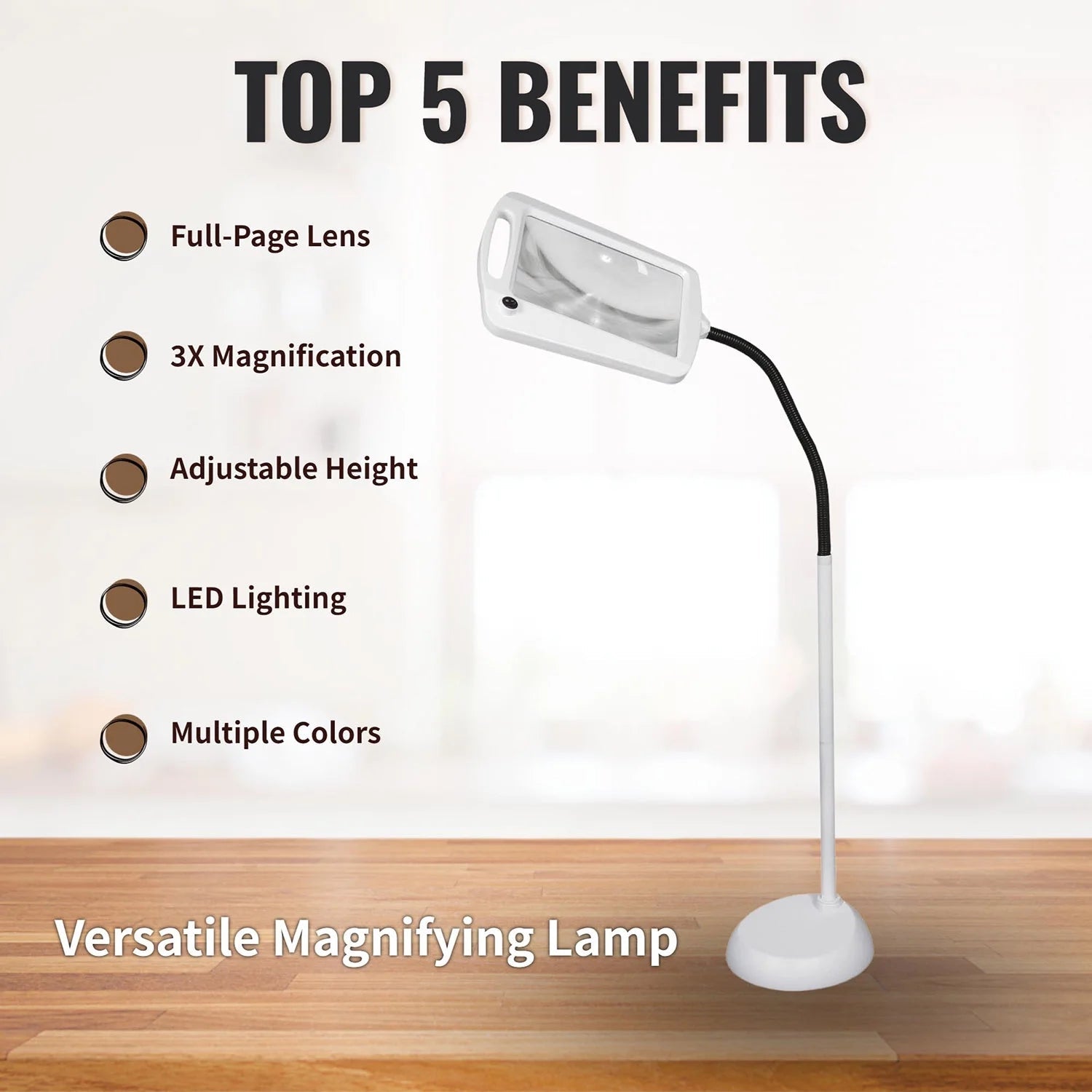 LightView Pro 8X10 - Full Page Magnifying Floor Lamp - Hands Free Magnifier with Bright LED Light for Reading - Flexible Gooseneck Holds Position - Outdoor Solar Outlet