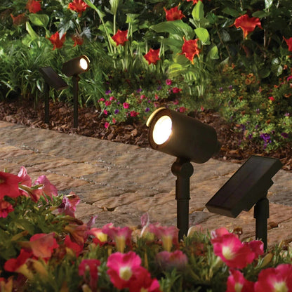 Tommy Bahama Solar LED Landscape Spotlights with Remote Solar Panels – 100 Lumens, 2-Pack