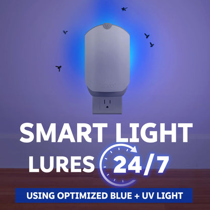 Zevo 1 Flying Insect Traps & 2 Refill Cartridges - Plug in Fly Trap & Indoor Bug Catcher for Gnats, House & Fruit Flies - Blue & UV Light Technology, Mess-Free Alternative to Bug Zapper - Outdoor Solar Outlet