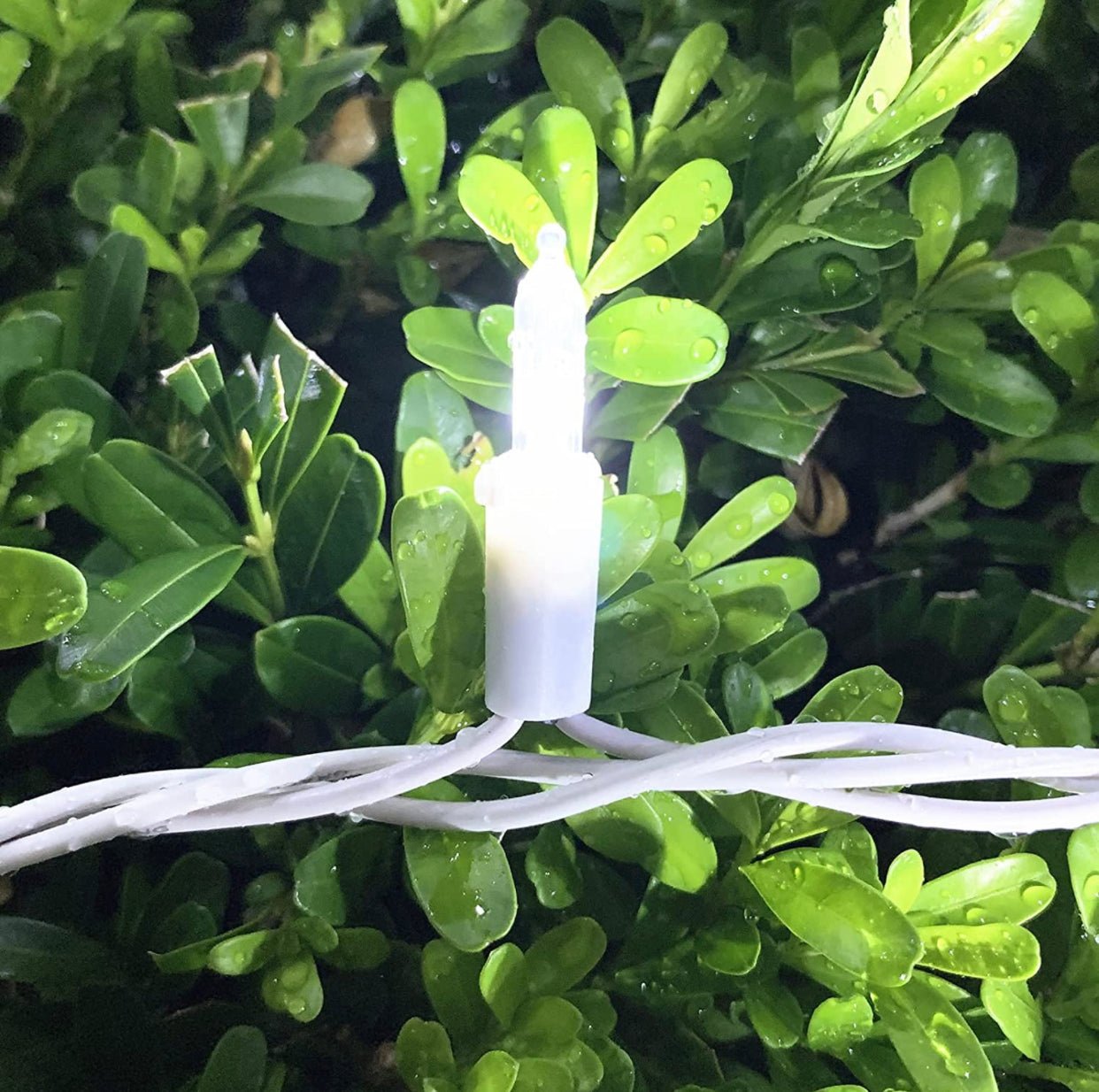 150 LED Christmas Lights, 50 FT Green/White Wire - Outdoor Solar Outlet