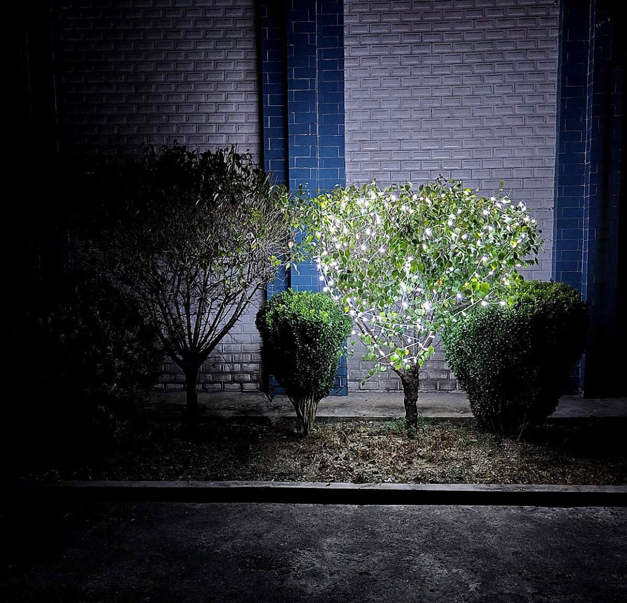 150 LED Christmas Lights, 50 FT Green/White Wire - Outdoor Solar Outlet