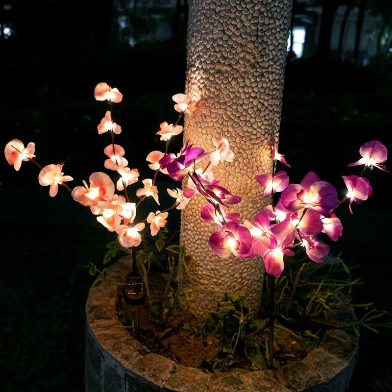 2 Pack Solar Orchid Flower Lights -40 Flowers - Outdoor Solar Outlet