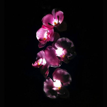 2 Pack Solar Orchid Flower Lights -40 Flowers - Outdoor Solar Outlet