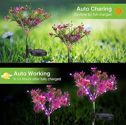 2 Pack Solar Powered Phalaenopsis Flowers Lights Design, Waterproof - Outdoor Solar Outlet