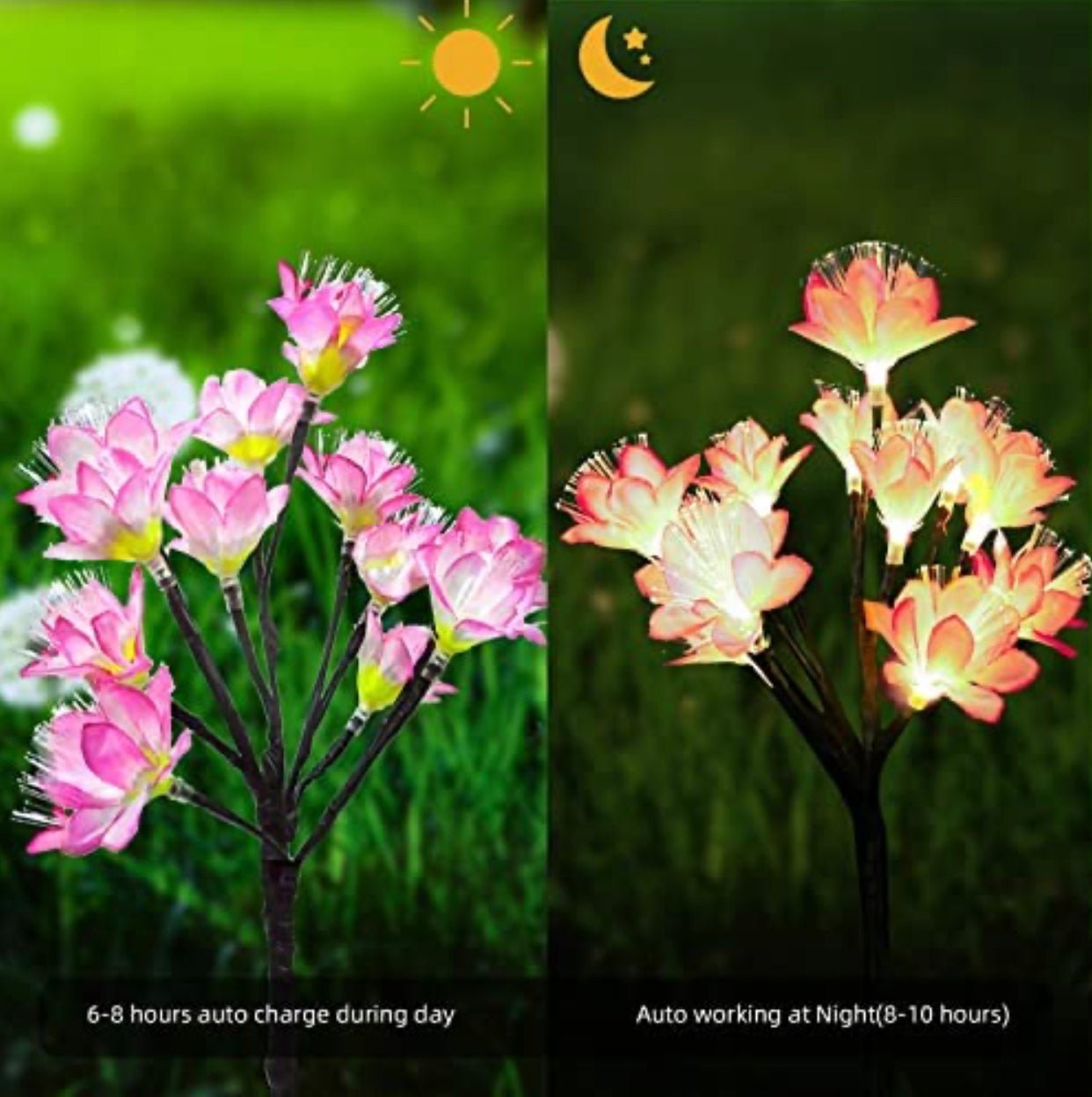 2 Pack Solar Steak Garden Lights Solar Powered Waterproof 2 Lighting Modes Twinkling and Steady Landscape - Outdoor Solar Outlet