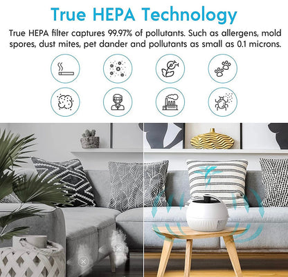 Air Purifier for Allergies, Air Choice True HEPA Filter Air Purifier, Remove 99.97% of Dust Smoke,Portable and 25dB Quiet Air Purifier - Outdoor Solar Outlet