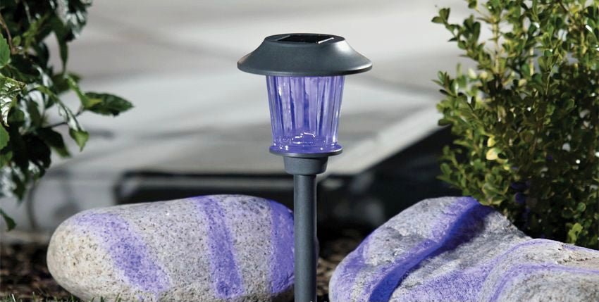Berkley Jensen Solar Color-Holding Pathway Lights, 8pk. - Outdoor Solar Outlet