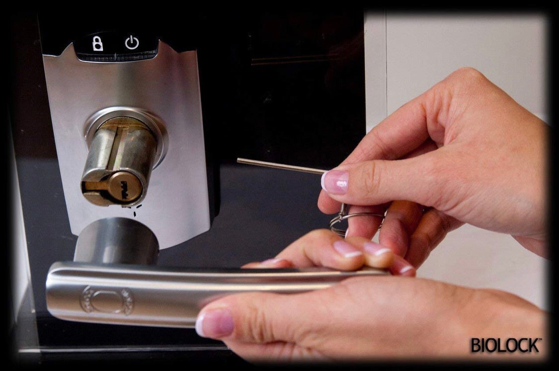 BIOLOCK 333 Biometric Fingerprint Entry Lever Door Lock - Outdoor Solar Outlet