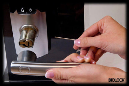 BIOLOCK 333 Biometric Fingerprint Entry Lever Door Lock - Outdoor Solar Outlet