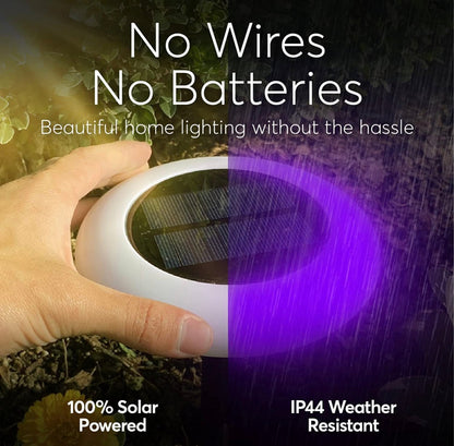 Colorize Solar Lights Color Change Ring Lights In-Ground 6 Pack - Outdoor Solar Outlet