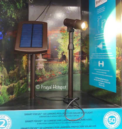 Energizer 100 Lumen Solar LED Spot/Flood Light with Pole (2 Piece) - Outdoor Solar Outlet