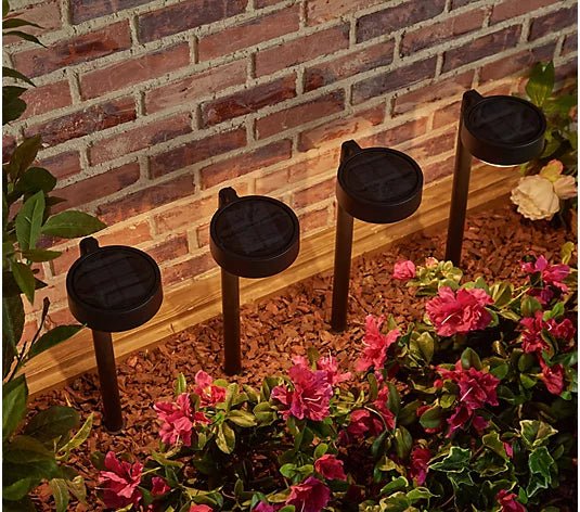 Energizer 20 Lumen Set of 4 Down light Aluminum Solar Pathway Lights - Outdoor Solar Outlet