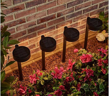 Energizer 20 Lumen Set of 4 Down light Aluminum Solar Pathway Lights - Outdoor Solar Outlet