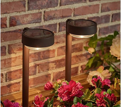 Energizer 20 Lumen Set of 4 Down light Aluminum Solar Pathway Lights - Outdoor Solar Outlet