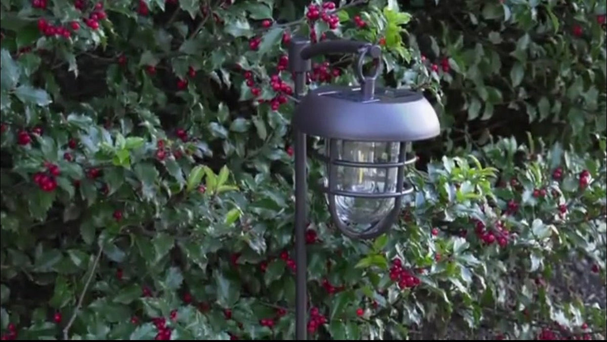 Energizer LED Solar Hanging Lights Shepherds Hook Metal Pole (Set of 4) - Outdoor Solar Outlet