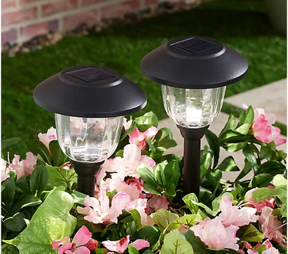 Energizer 12 Pack Solar Pathway Light Set 15-Lumen