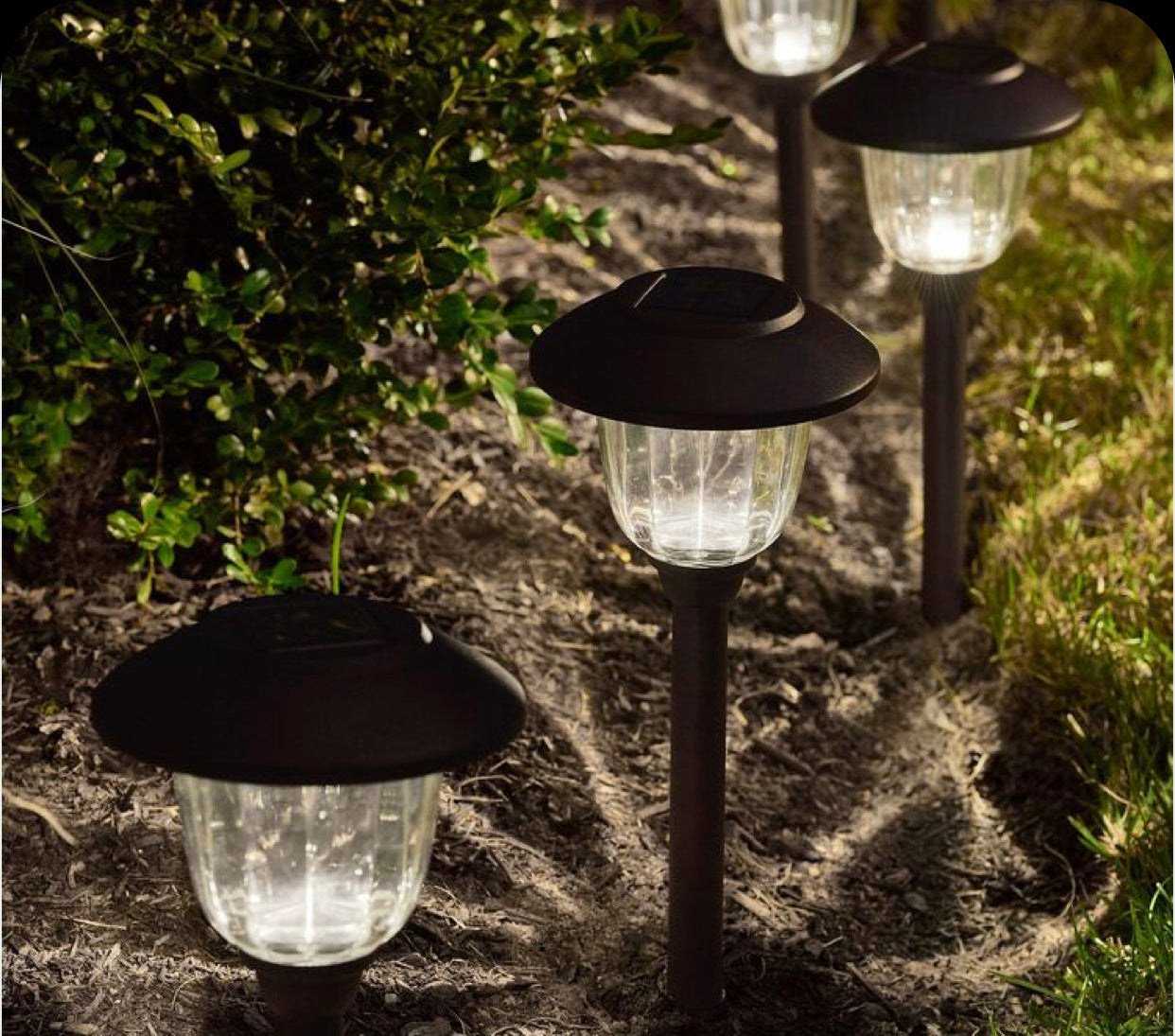 Energizer 12 Pack Solar Pathway Light Set 15-Lumen