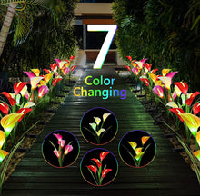 Load image into Gallery viewer, 4 Pack Solar Common Calla Lamp Four Color LED