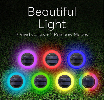 Colorize Solar Lights Color Change Ring Lights In-Ground 6 Pack