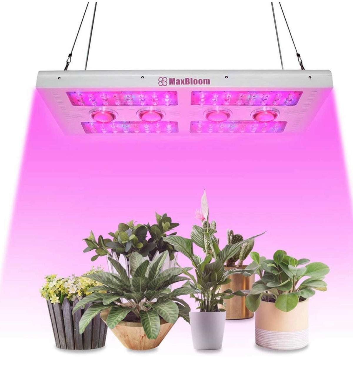 MaxBloom Dimmable COB LED Grow Light 12-Band Full Spectrum Plant Growing Lamps with Veg/Bloom Dimmer, UV&IR - Outdoor Solar Outlet