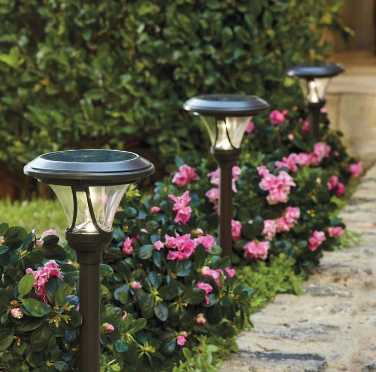 Patriot Oswego Solar Pathway Lights 6 Lumen 8-Pack - Outdoor Solar Outlet