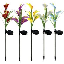 Load image into Gallery viewer, 4 Pack Solar Common Calla Lamp Four Color LED
