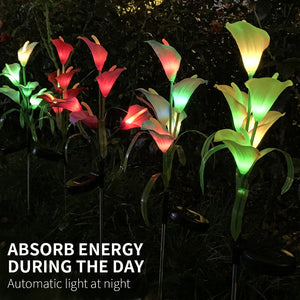 4 Pack Solar Common Calla Lamp Four Color LED