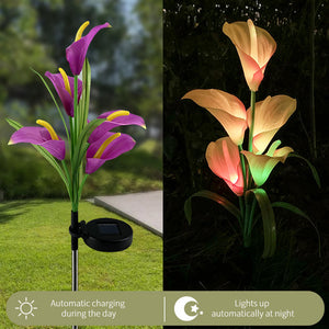 4 Pack Solar Common Calla Lamp Four Color LED
