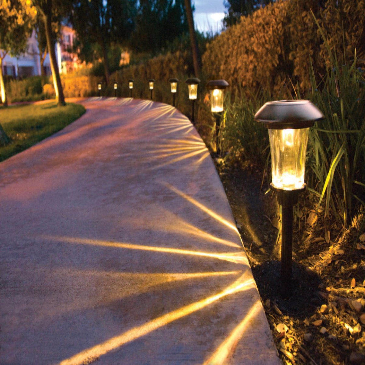 SmartYard Solar LED Large Outdoor Pathway Lights - 8 Pack- Oil Rubbed Bronze - Outdoor Solar Outlet