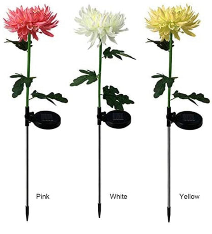 Solar LED Light Artificial Chrysanthemum Flower (3 Pack) - Outdoor Solar Outlet